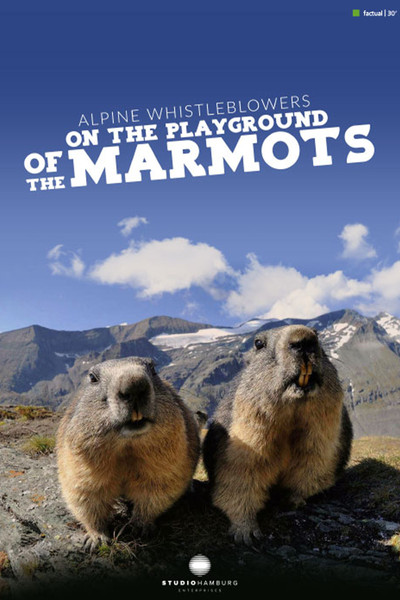 Poster do Filme Alpine Whistleblowers - on the playground of the marmots