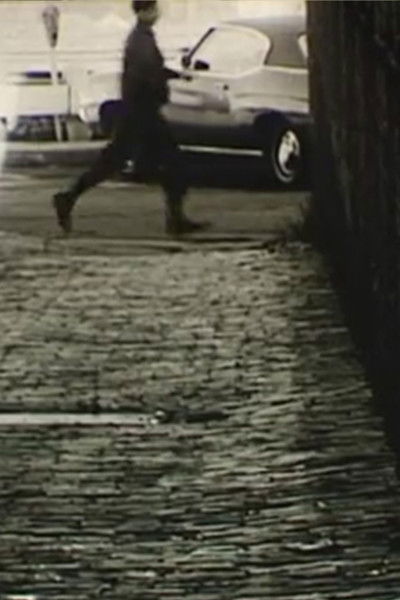 Poster do Filme Spider 71-50