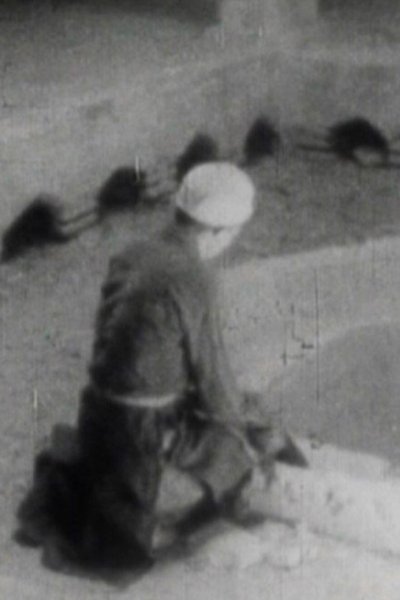 movie poster for From Isfahan to Abarkooh