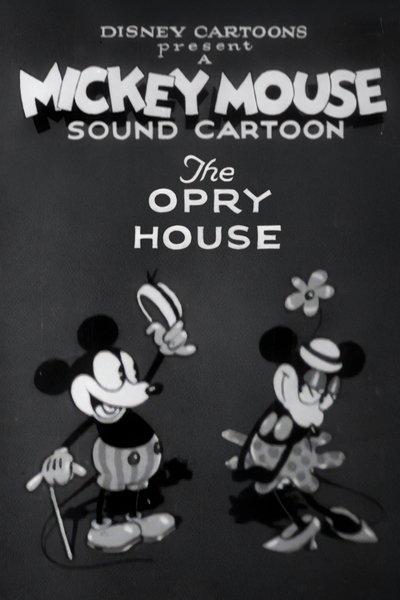 Poster for the movie The Opry House