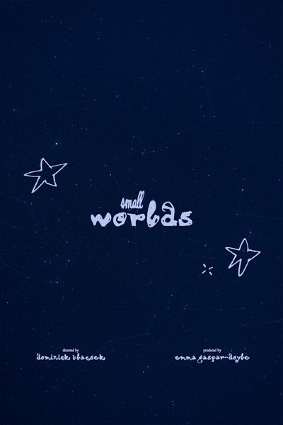Poster do Filme Small Worlds