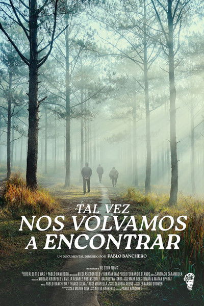 Poster do Filme Tal vez nos volvamos a encontrar