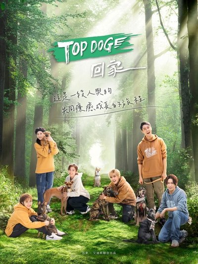 poster for TOP DOG