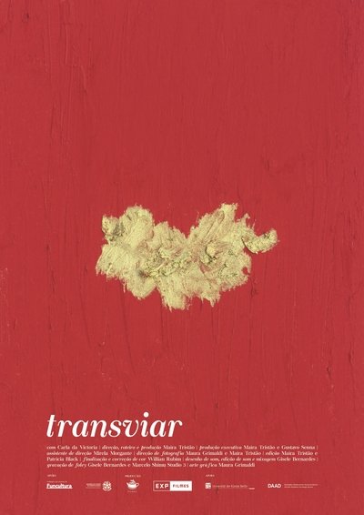 Poster for the movie Transviar