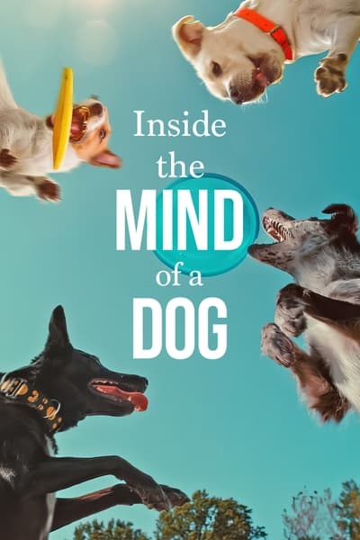 Poster for the movie Inside the Mind of a Dog
