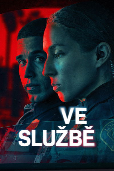 Ve službě