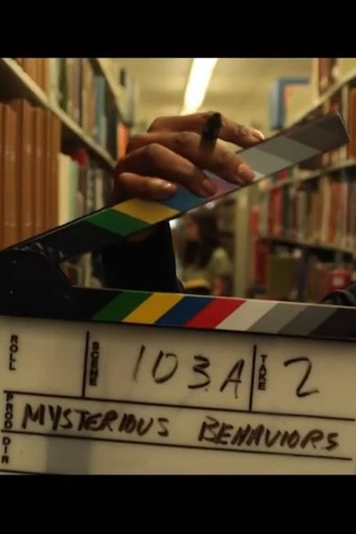 Poster do Filme Mysterious Behaviors