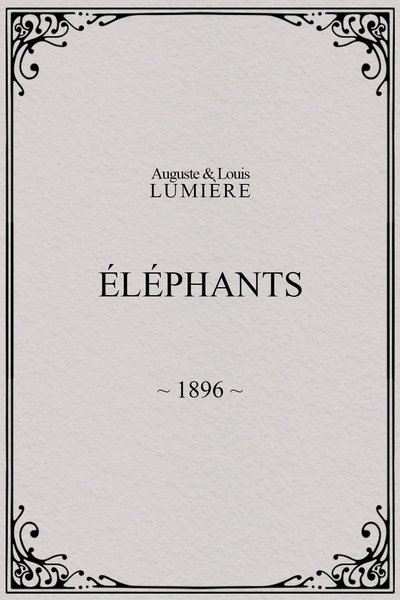 Poster do Filme Elephants