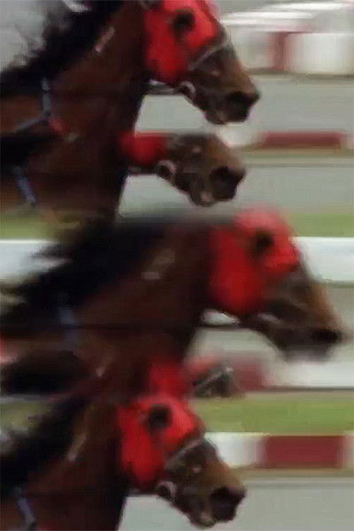 Poster do Filme Wishful Thinking