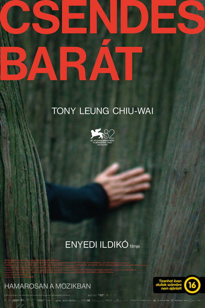 Poster do Filme Amiga Silenciosa