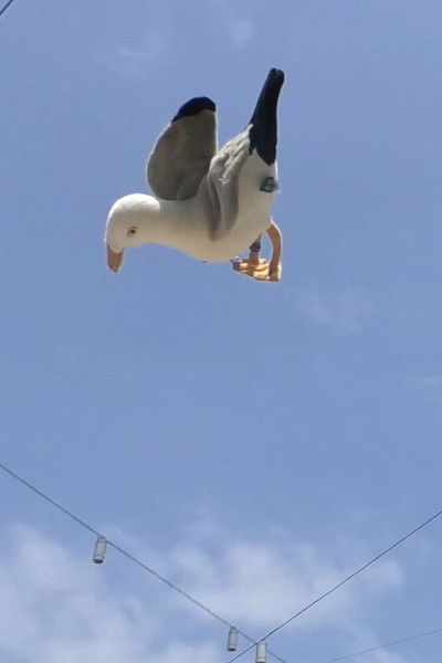 movie poster for Double Jump