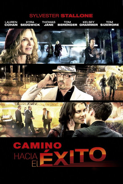 Camino hacia el éxito