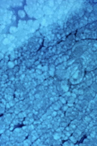 Poster do Filme Biostoria 3