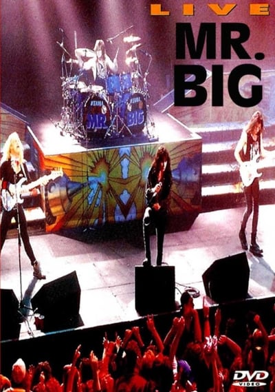 Mr. Big: Live