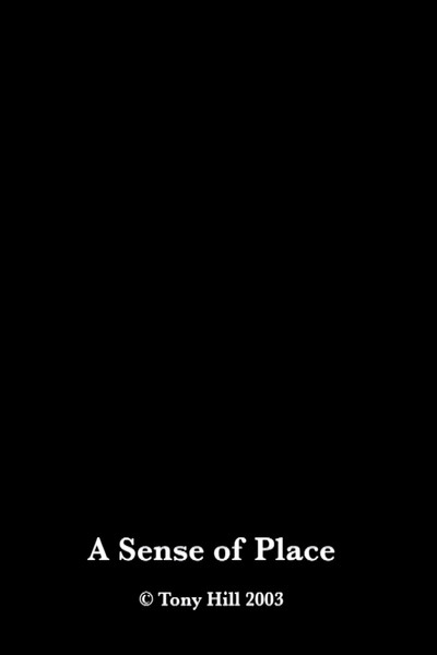 Poster do Filme A Sense of Place