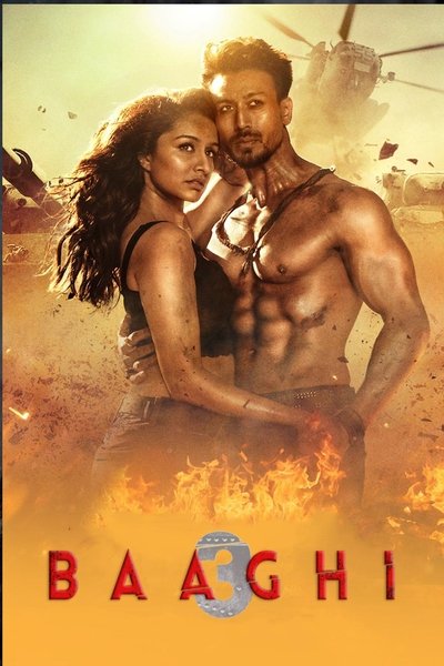 Baaghi 3