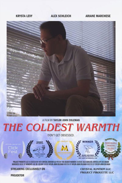 Poster do Filme The Coldest Warmth