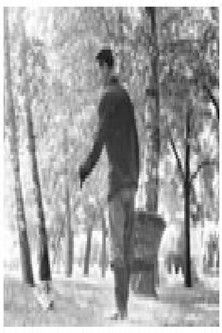 Poster do Filme Весници, весници