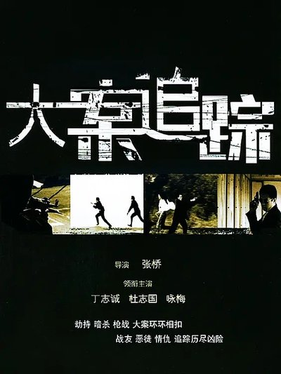 poster for 大案追踪