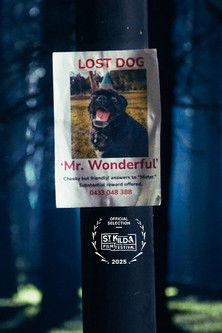 Poster do Filme Mr. Wonderful