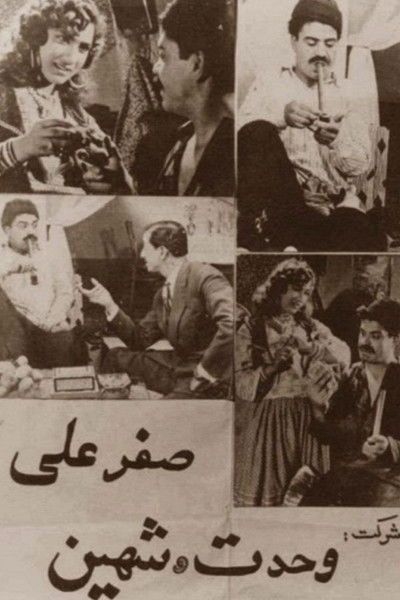 movie poster for SafarAli