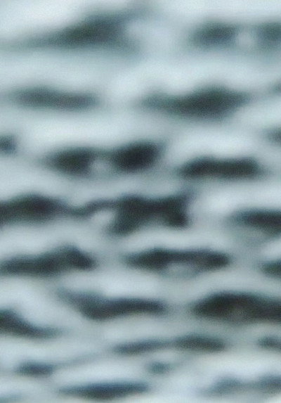 The Wind