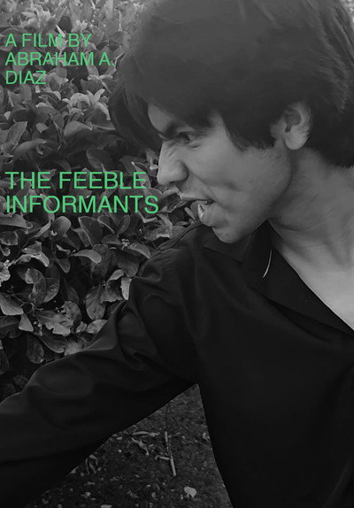The Feeble Informants