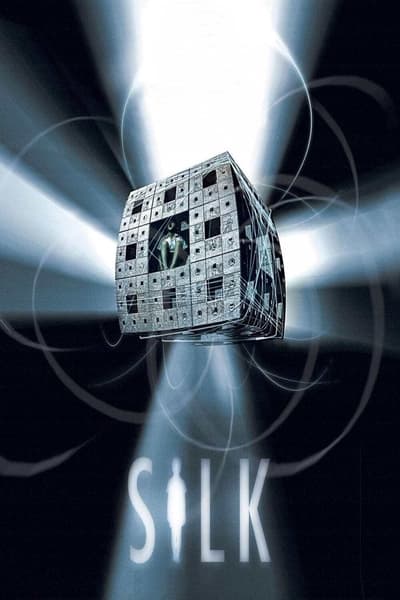 Poster for the movie Silk