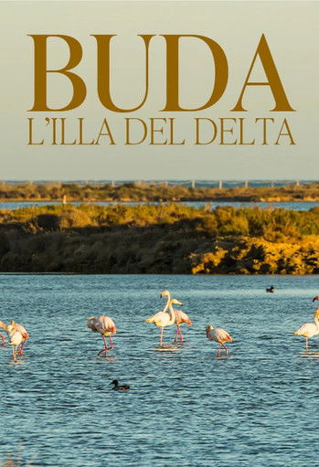 Poster do Filme Buda, l'illa del Delta