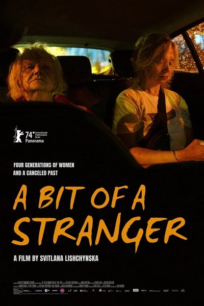 Poster do Filme Трішки чужа