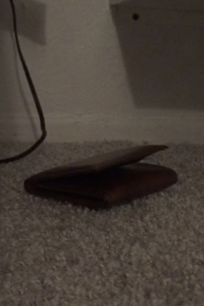 movie poster for Wallet