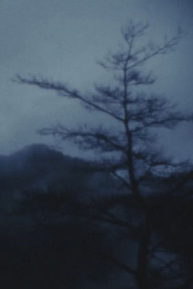 Poster do Filme MAYA