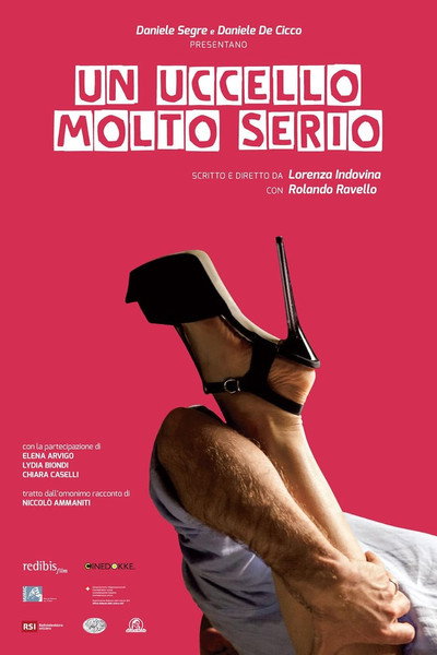 Un uccello molto serio