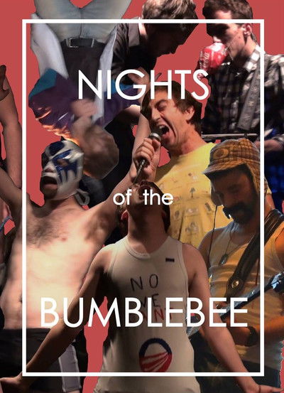 Poster do Filme Nights of the Bumblebee