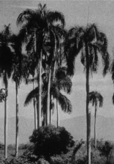 Poster do Filme Haiti