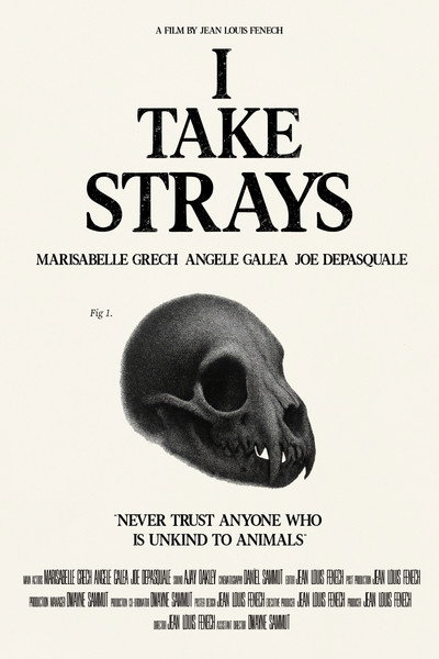 I TAKE STRAYS