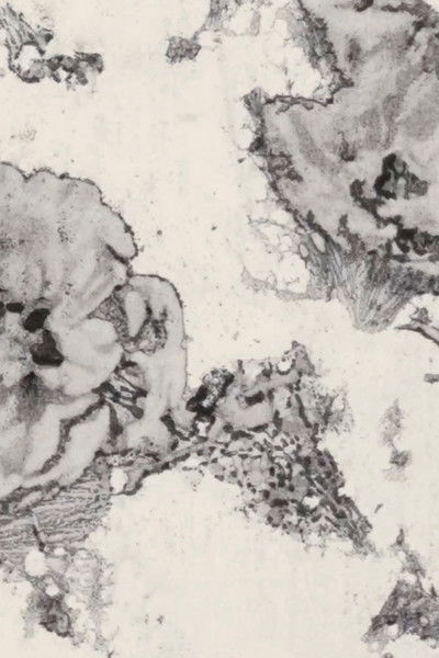 Poster do Filme Placeholder