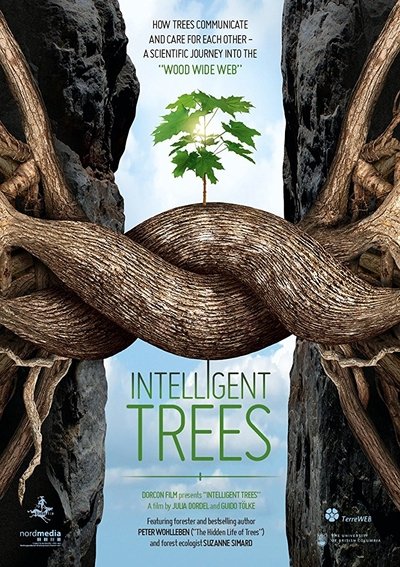 Poster for the movie Intelligent Trees