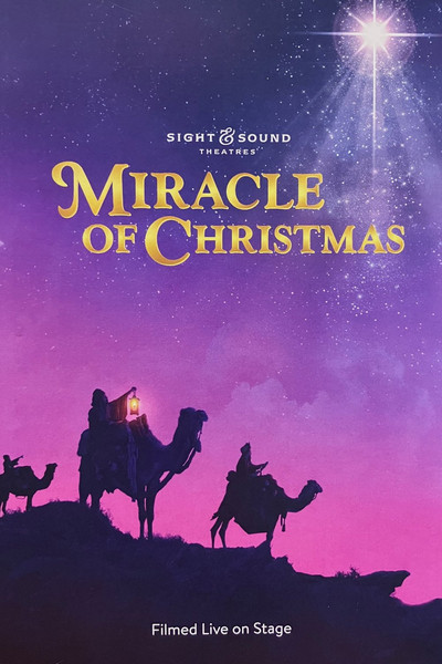Poster do Filme Miracle of Christmas