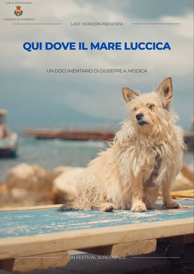 Poster do Filme Here where the sea shines