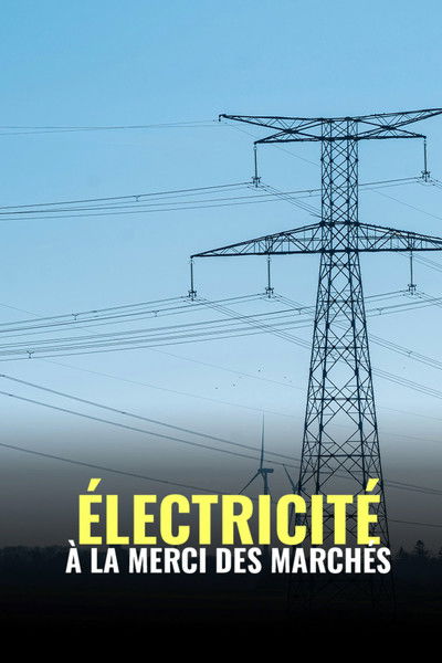 Poster do Filme Électricité : à la merci des marchés