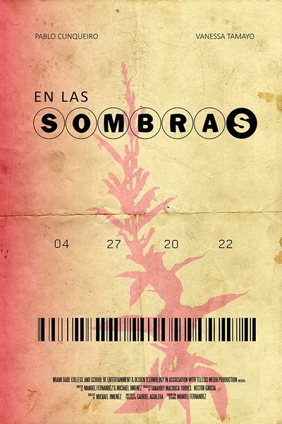 Poster do Filme En Las Sombras