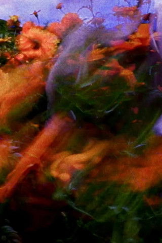 Poster do Filme Batalla