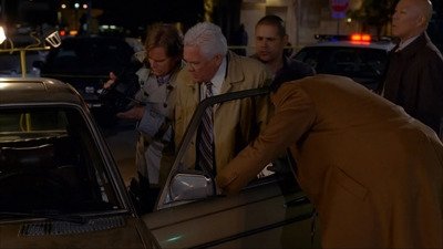 Под попечителство