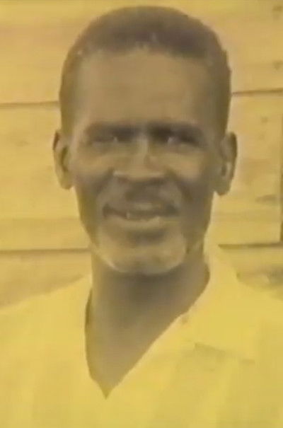 Poster do Filme The Deep Roots