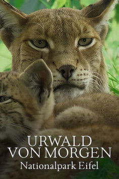 Poster do Filme Urwald von morgen – Nationalpark Eifel