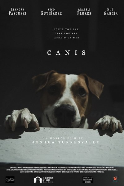 Poster do Filme C Λ N I S