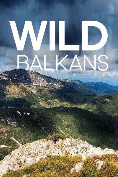 Poster do Filme Wilder Balkan