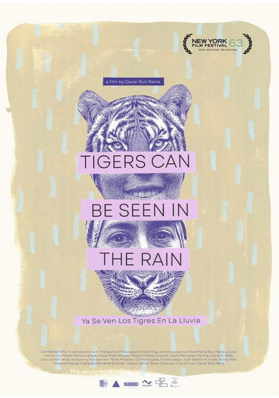 Poster do Filme Ya se Ven Los tigres en la lluvia