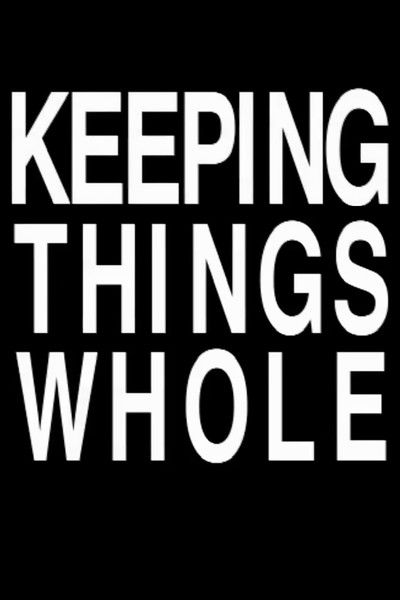 Poster do Filme Keeping Things Whole